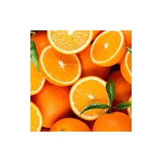 Naranja amarga